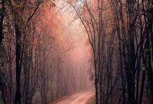 问鼎娱乐官网：乒乓球——亚洲杯：蒯曼胜伊藤美诚.