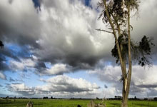 问鼎娱乐官网：CBA：浙江战胜新疆 终结两连败.